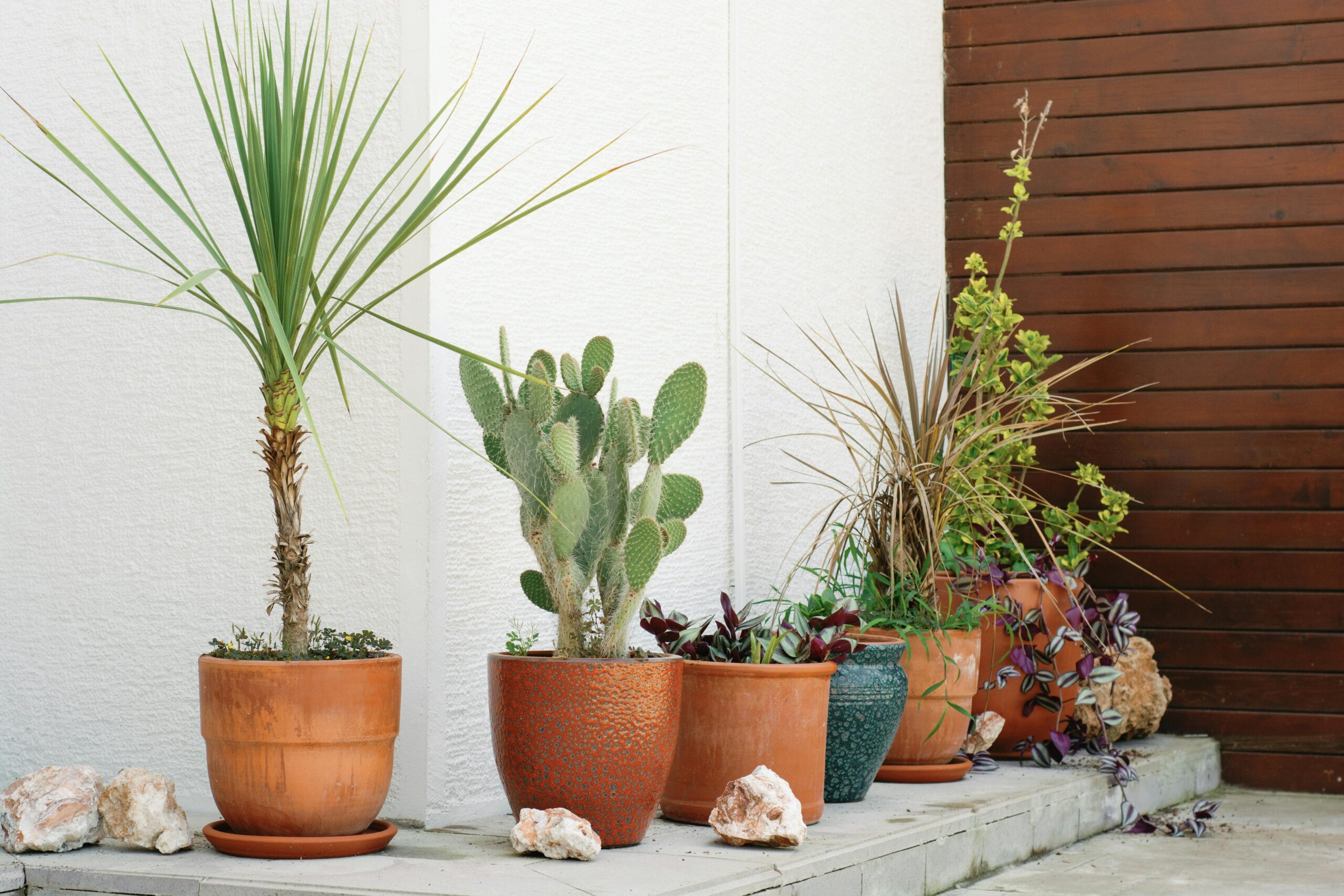 rental patio summer oasis outdoor living space